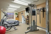Hilton Garden Inn Boston-Burlington - Gym