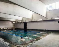 Axis Viana Business & Spa Hotel - Pools