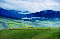 Qilian Jinyuan Hotel Hotels in Qilian