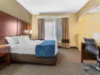 Comfort Suites Findlay I-75 Near Sports Complex Hotels in Findlay