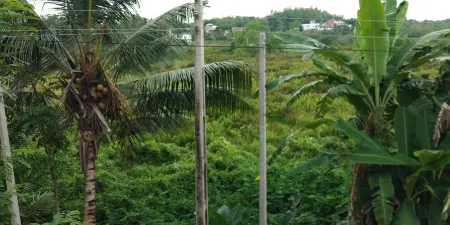 Stunning Villa Ruhunu, Hikkaduwa, Close to Captivating Beach Отели рядом с достопримечательностью «Saffron Robes Gallery & Living»