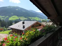 Elisabeth Hotels in Alpbach