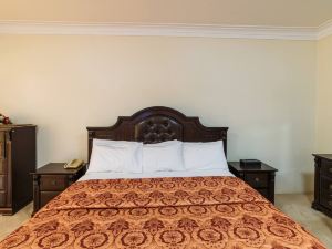 Trendy Junior Suites in Masaka - 2