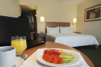 Fiesta Inn Ecatepec Hotels in Текскоко