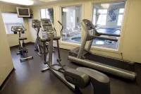 赫瑞提吉布魯克斯假日酒店 - 健身室/gym room