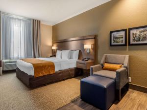 Comfort Suites Baytown I – 10