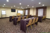 Best Western Bastrop Pines Inn Hotels in Wyldwood