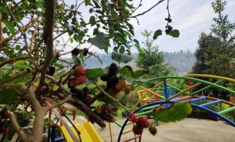 a tree with red berries and green leaves is in the foreground , while a playground slide and other playground equipment are visible in the background at Van House