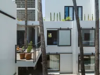 Drift San Jose del Cabo, a Member of Design Hotels Hotel dekat Flora Farm