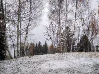 Affittacamere I Picchi - Homestays