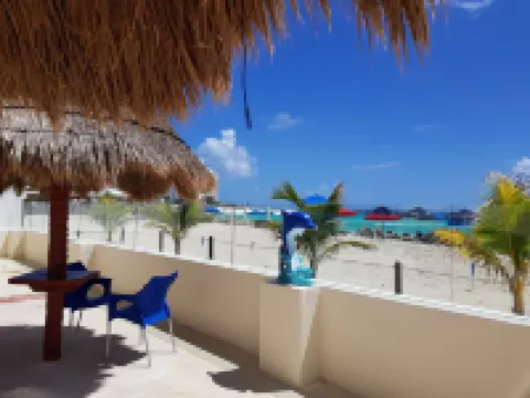 サルヴィア カンクン