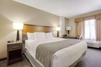 SureStay Plus Hotel by Best Western Houston Medical Center