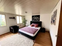 Newly Furnished Beautiful Old Building Apartment in the Center with Apple TV Hotels in Gaiserwald