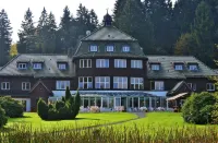 Hotel Harzhaus Hotels in Hasselfelde
