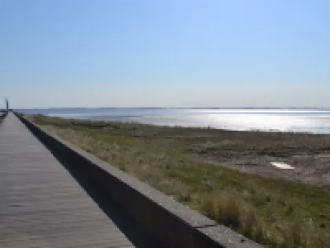 "Leto" - 2km from the Sea