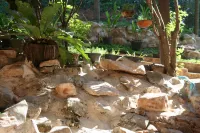 Baan Tildao Pround Fah /Exotic Room on a Hill