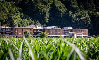 eduCARE Hotel