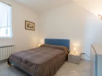 Origano