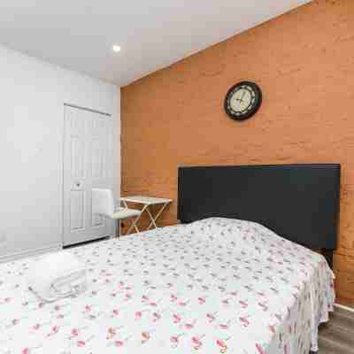 #203_Downtown One Bedroom Loft in with free parking Rooms