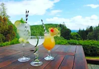 Stonefield Castle Hotel ‘A Bespoke Hotel’ - Pet friendly