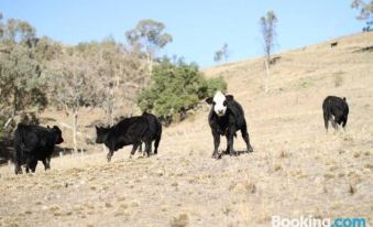 Canguri Boutique - A Memorable Farmstay Near Mudgee