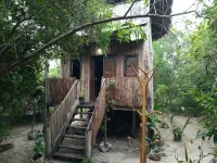 Mida Creek Eco Camp - Cottage House - Küvet
