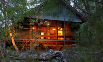 a wooden cabin is nestled in a wooded area with trees and branches surrounding it at Girraween Environmental Lodge