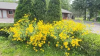 Hudson Valley 9w Motel Hotels in Kingston