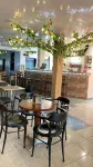 Hostal La Cigarra Hotels in Balboa