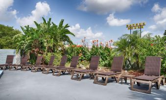 a row of brown lounge chairs is lined up in front of a garden with palm trees at Best Western Space Shuttle Inn