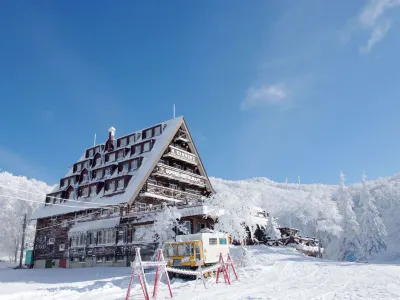 Forest Inn Sangoro Hotels in 