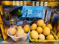 Kumamoto Farm Stay Hôtels à : Mifune