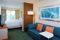 SpringHill Suites Atlanta Six Flags Hotels near The Pointe At Lithia Springs Shopping Center