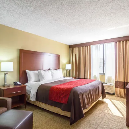 Comfort Inn Downtown