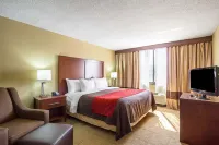Comfort Inn Downtown - breakfast
