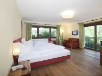 Hotel Landgasthof Gappen Hotels in Rattenberg