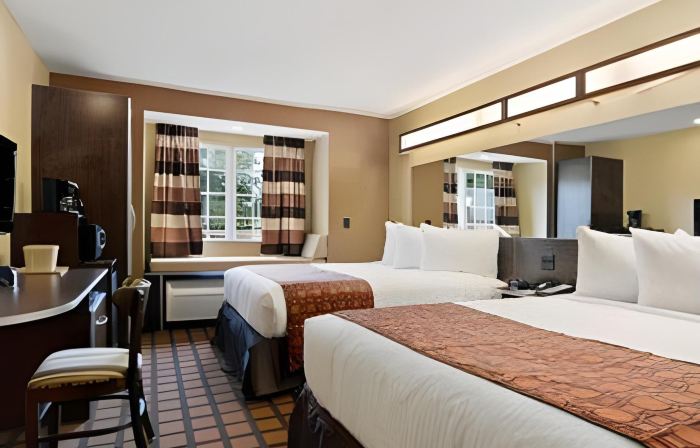 Microtel Inn & Suites by Wyndham Macon
