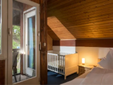 Eifelnatur (Haus 2) Hotels in Immerath