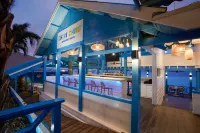 Divi Flamingo Beach Resort - bar