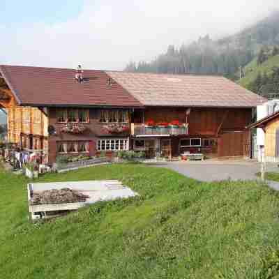 Bauernhaus Uf dr Flue Hotel Exterior