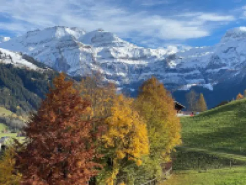 Untere Bühlstrasse 10 - EG