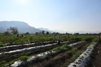 Amora A Boutique Resort Hotels in Mulshi
