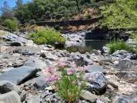 A perfect getaway surrounded by nature and close to town Hotel a Nevada County