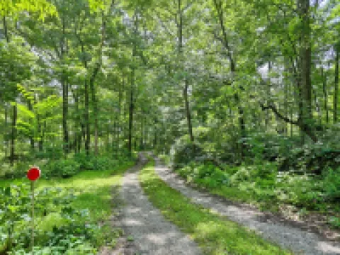 East Cavalry Red House<br>3 bedrooms 3 full baths sleeps up to 12 Hotels in Straban Township