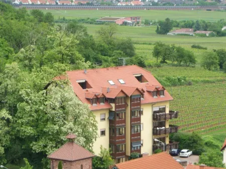 Apartment in fantastic location with view to the wineyards and the forrest Отели в г. Нойлайнинген