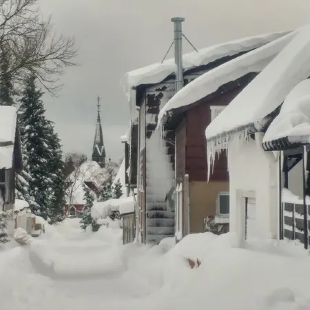 Apartment for up to 4 guests in the West Harz, dog allowed
