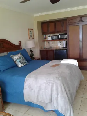 ISLANDER AT THE BEACH OCEAN FRONT CONDO # 145 Hotels in Wailua