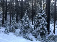 Spacious Secluded Cabin on 9 acres Hot Tub Outdoor Dining Private Trails - 3 tähden