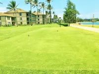 It's All about the View! Oceanfront, A/C, Elevator Hotels in Kapaa