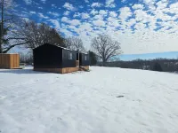 Family style cabin with pond and orchard near the Buffalo National River